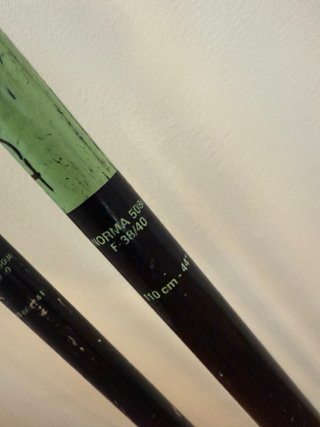 Bastones de esquí Select