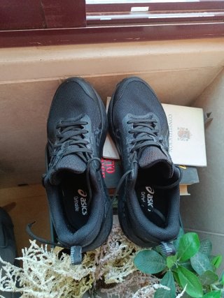 ASICS Gel-Sonoma 8 GTX Zapatilla trail