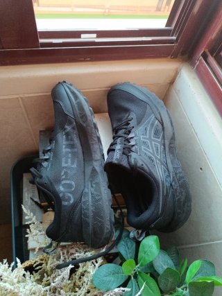 ASICS Gel-Sonoma 8 GTX Zapatilla trail