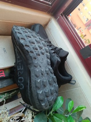 ASICS Gel-Sonoma 8 GTX Zapatilla trail