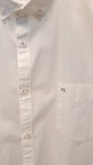 Camisa blanca algodón