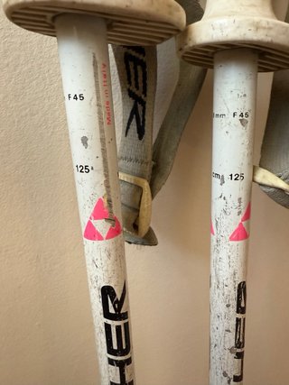 Bastones de esquí Fischer