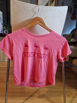Camiseta Polinesia Flamingo Talla XS