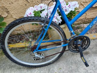 Bicicleta Catalina Azul