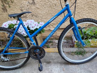 Bicicleta Catalina Azul