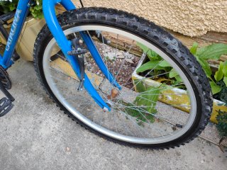 Bicicleta Catalina Azul