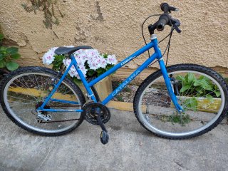 Bicicleta Catalina Azul