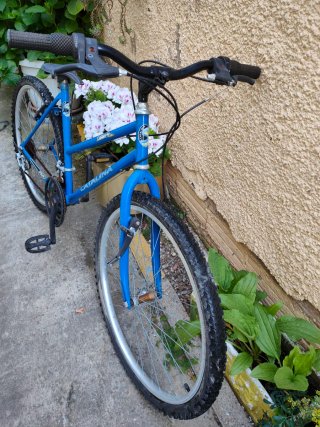 Bicicleta Catalina Azul