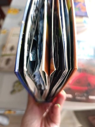 Libro desplegable