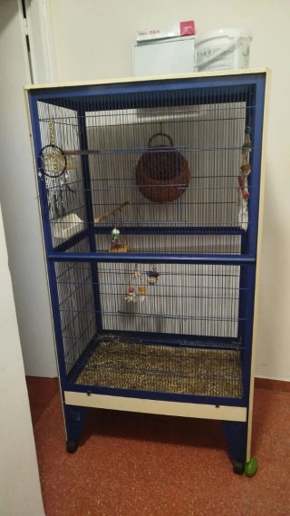 Jaula grande para pájaros o mascotas