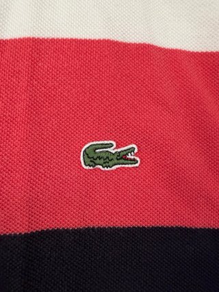 Polo Lacoste Rayas Talla M