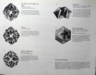 Libro de Calidociclos.