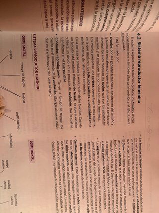 Libro de anatomía