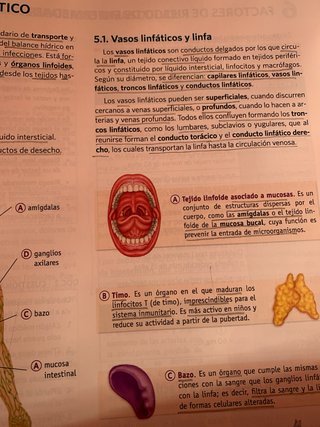 Libro de anatomía