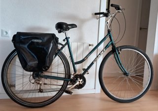 Bicicleta Paseo Holandesa GIANT