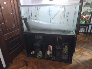 Acuario completo profesional 120 cm COMO NUEVO