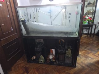 Acuario completo profesional 120 cm COMO NUEVO