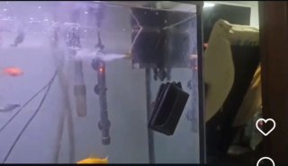 Acuario completo profesional 120 cm COMO NUEVO