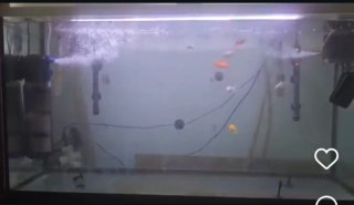 Acuario completo profesional 120 cm COMO NUEVO
