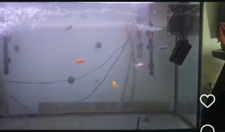 Acuario completo profesional 120 cm COMO NUEVO