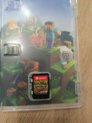 Minecraft Nintendo Switch