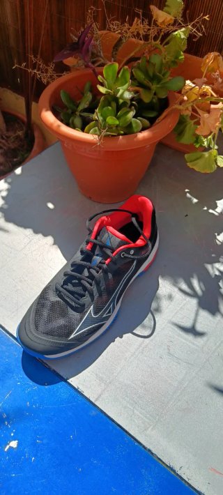 Mizuno Wave Exceed Light 44.