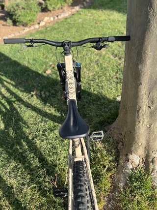Bicicleta Canyon Spectral 29 talla M