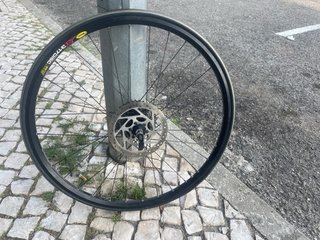 Roda Mavic XM317 Disc