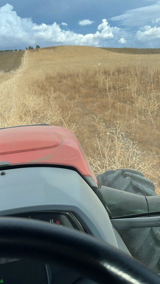 Trabajos agricolas