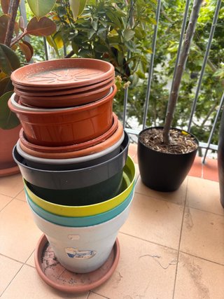 Lote de macetas de plástico y barro.