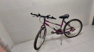 Bicicleta Morada Infantil