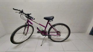 Bicicleta Morada Infantil