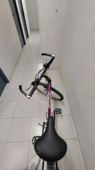 Bicicleta Morada Infantil