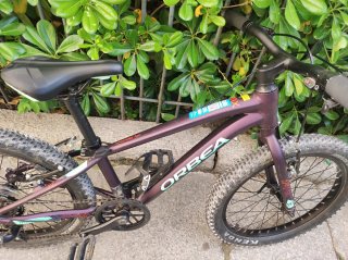 Bicicleta Orbea MX20 Morada