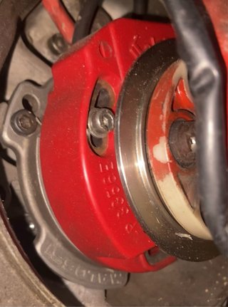 Rotor Malossi Selectra por Pley 5