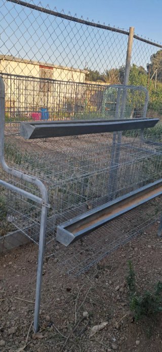 Jaula metálica para gallinas