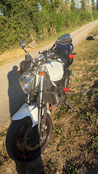 Yamaha FZ6 N 2008 Blanca