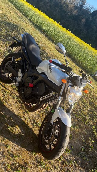 Yamaha FZ6 N 2008 Blanca