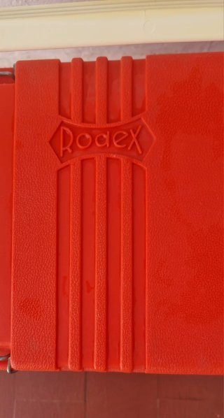 Nevera de Picnic Roja y Blanca