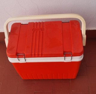 Nevera de Picnic Roja y Blanca
