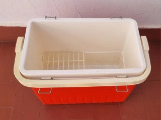 Nevera de Picnic Roja y Blanca