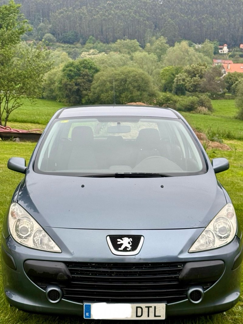 Peugeot 307 ETIQUETA ECO - foto 1