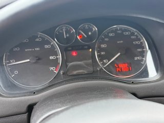 Peugeot 307 ETIQUETA ECO