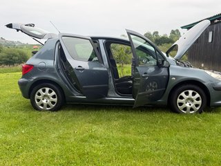 Peugeot 307 ETIQUETA ECO