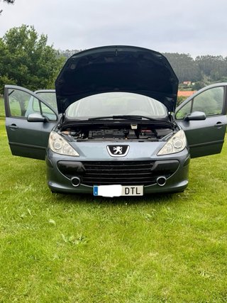 Peugeot 307 ETIQUETA ECO