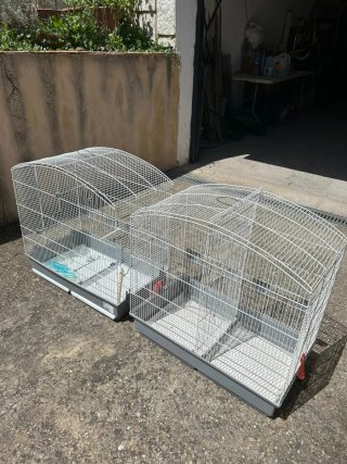 Grandi gabbie per uccelli