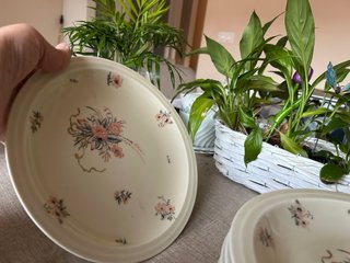 Servicio de té y postre Haviland porcelana floral