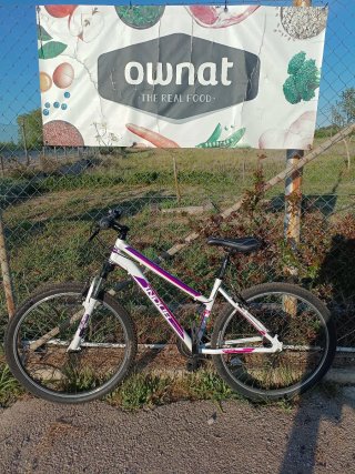 Bicicleta MTB aluminio paseo