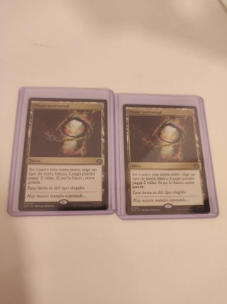 Pasaje Multiversal R0180 Tierra