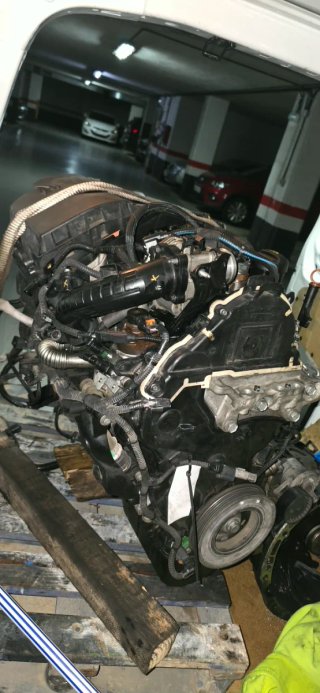 Motor YH01 2020